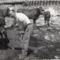 img060.jpg